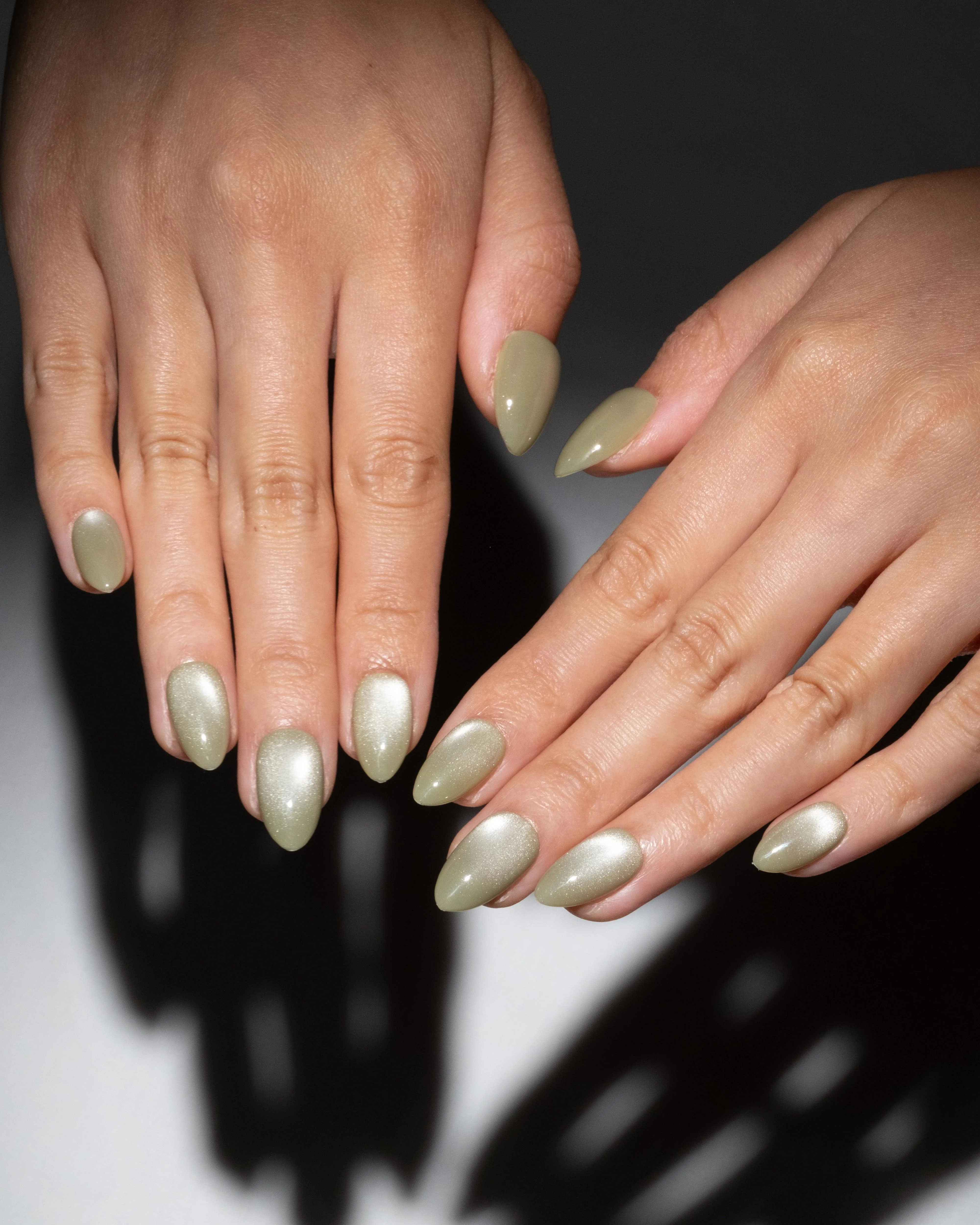 Olive - Image 3