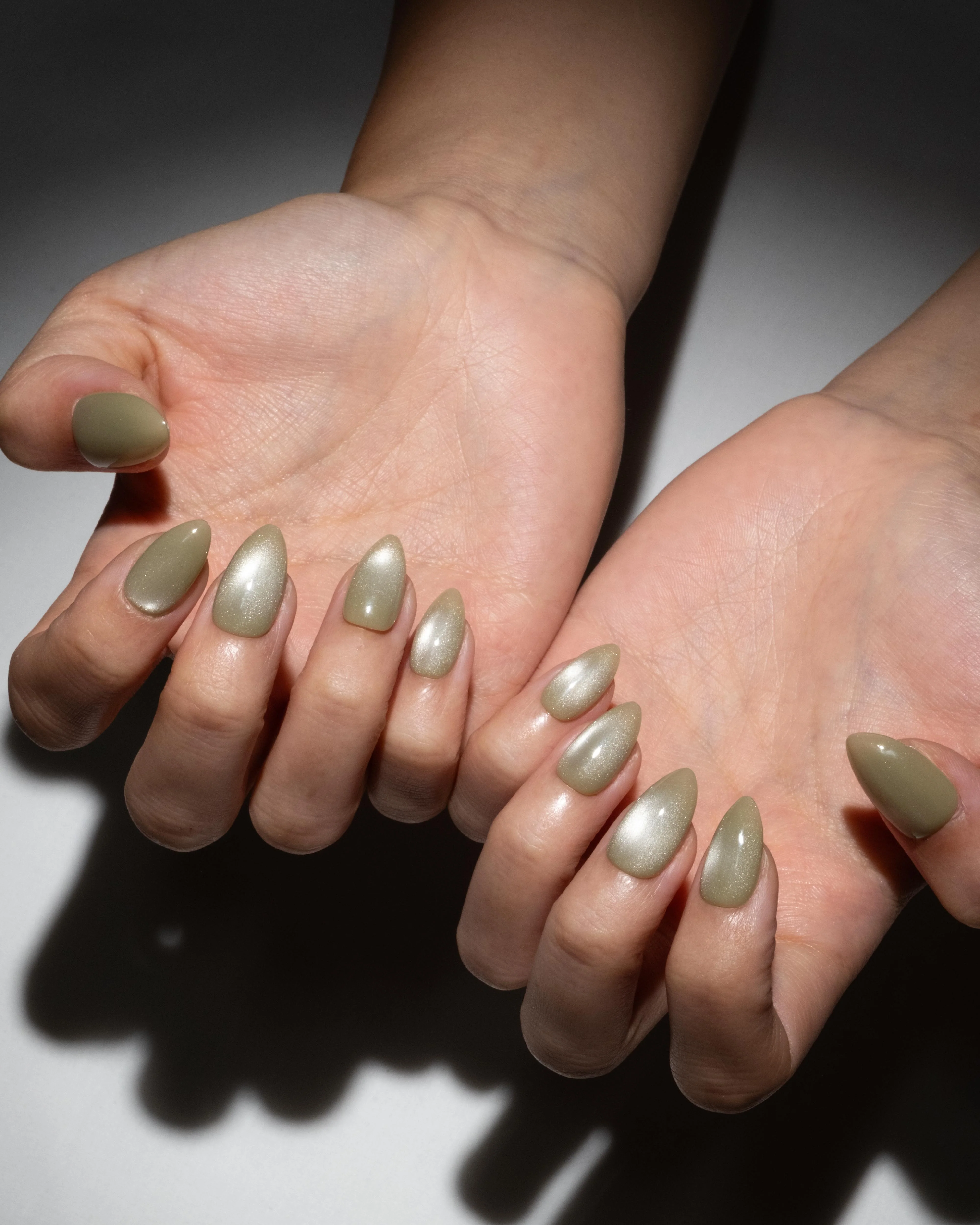Olive - Image 4