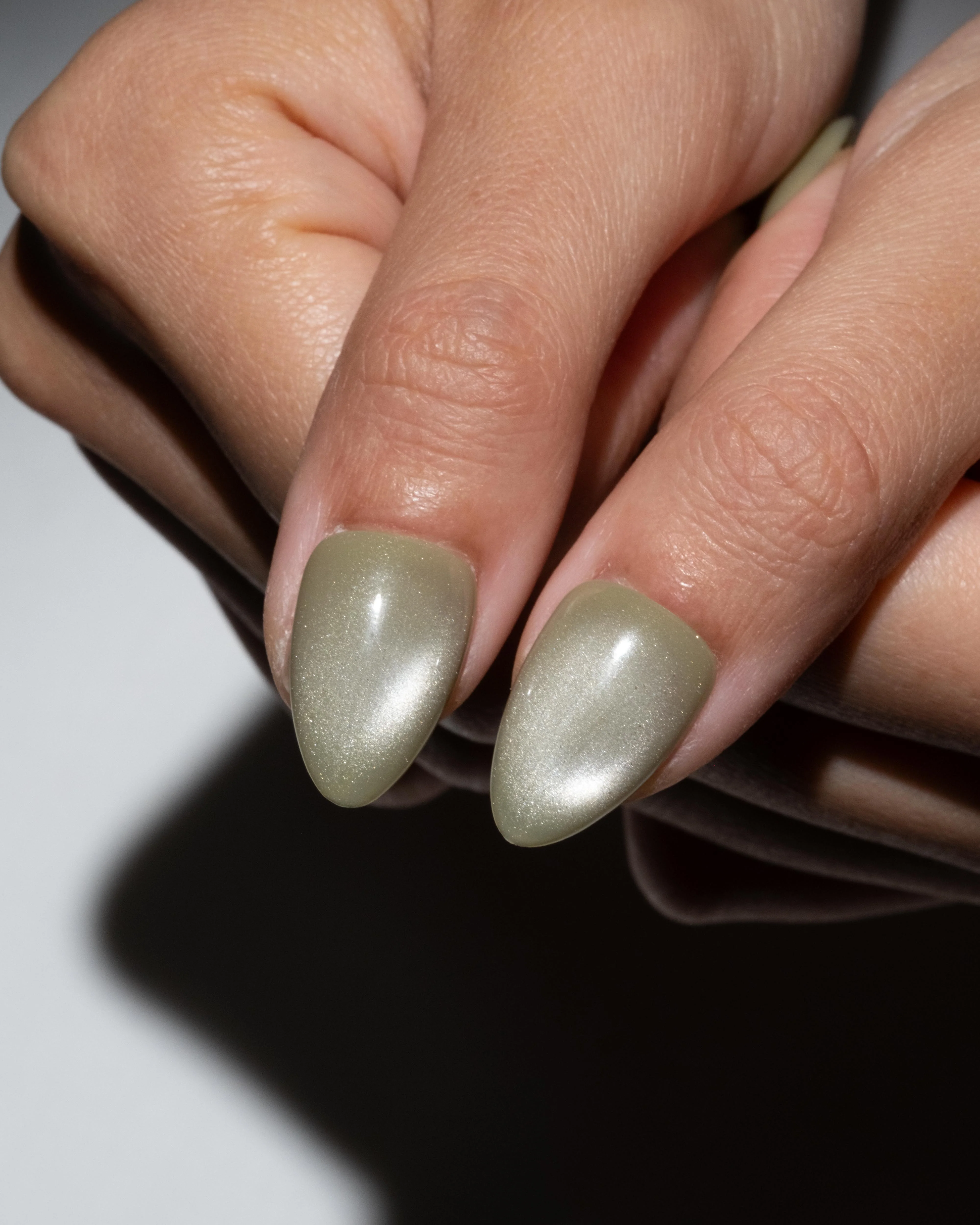 Olive - Image 5