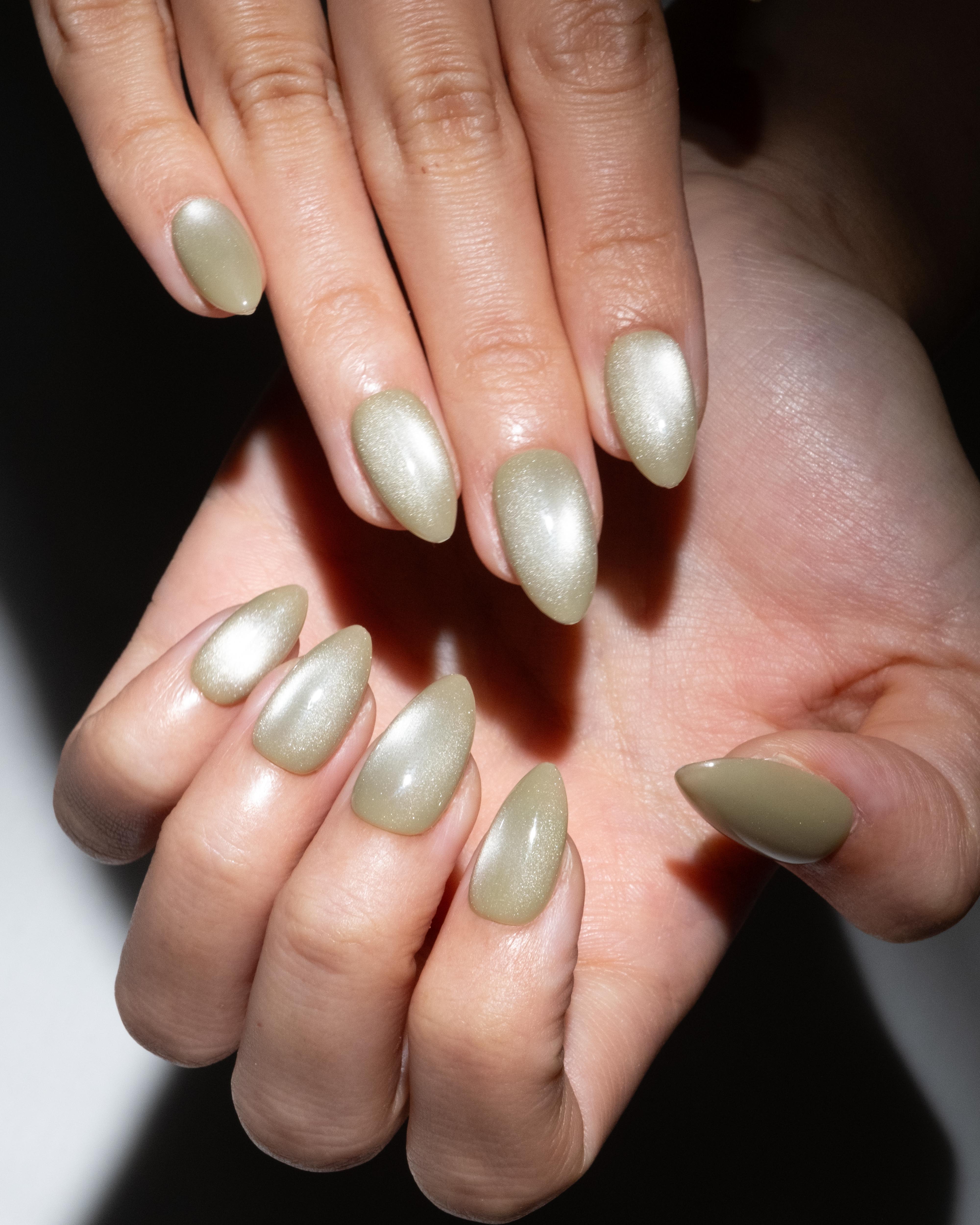 Olive - Image 6