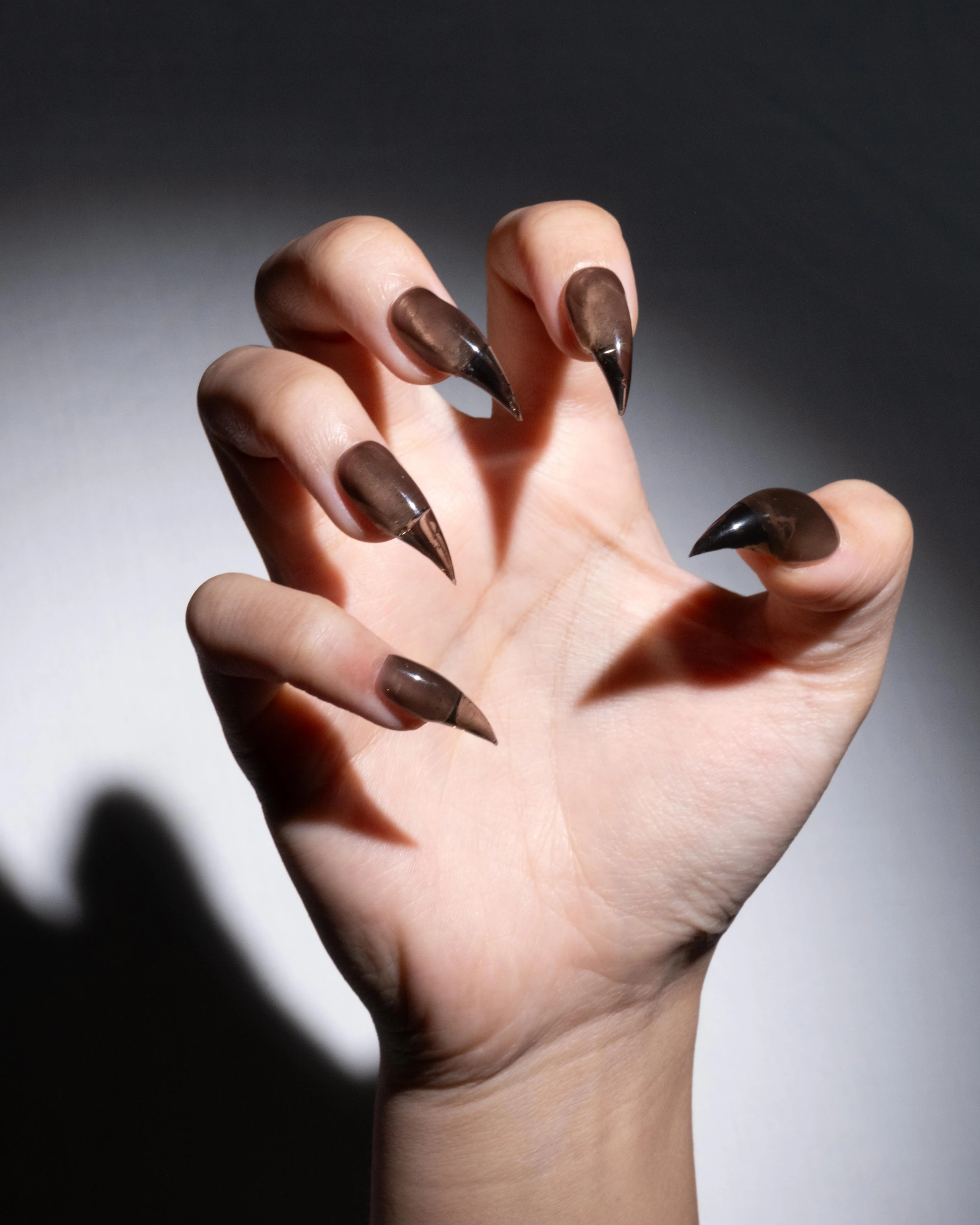 Shadow Claw - Image 3