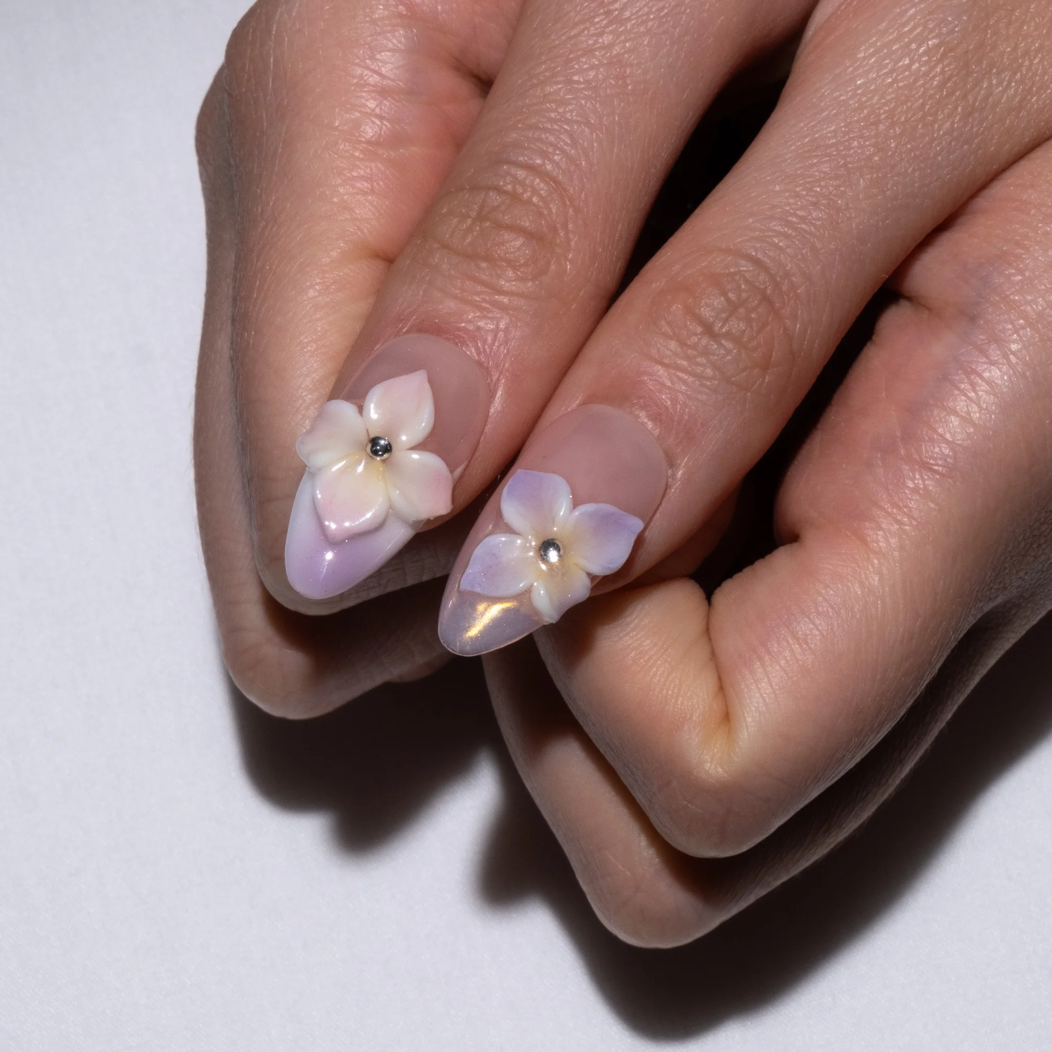 Tropical Paradise - Image 4